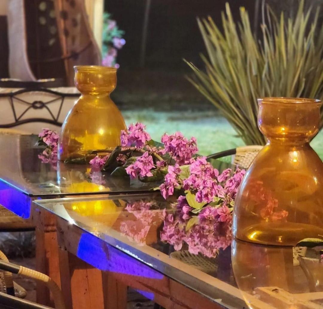 Habitaciones Con Piscina En Tinguiririca سان فرناندو المظهر الخارجي الصورة
